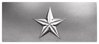 DNSEMP-L-430-SL Star Silver